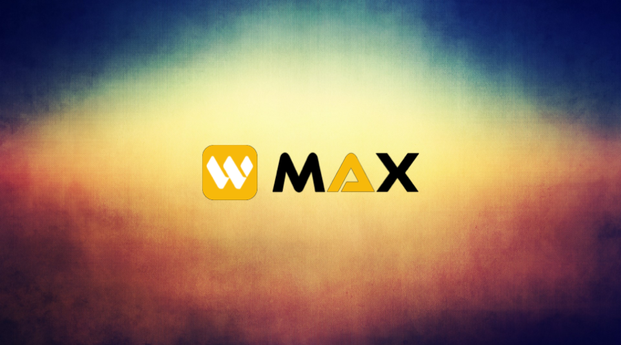 W LOGO 3
